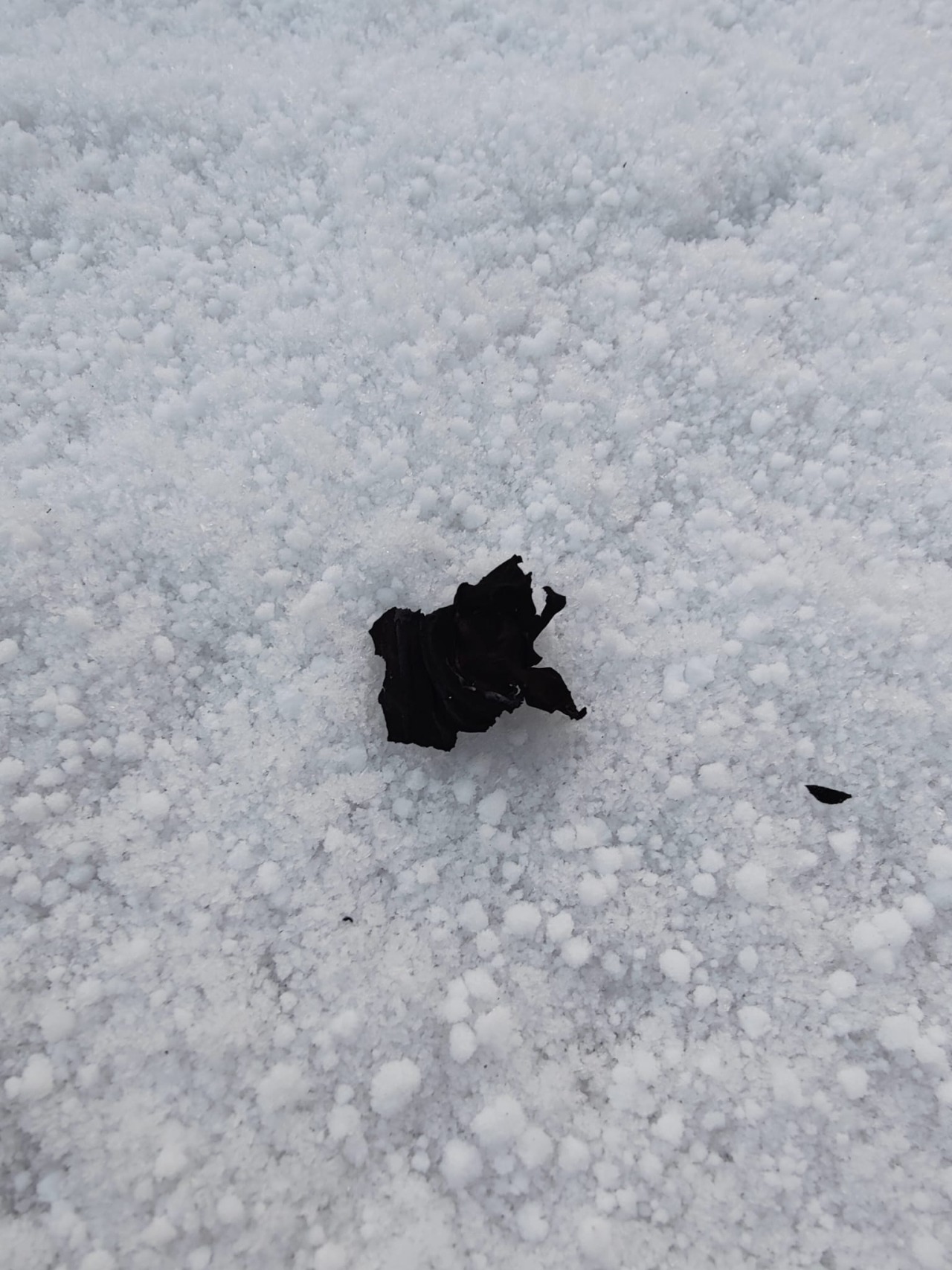 verbrand materiaal