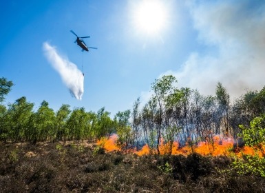 Helicopter lost water boven natuubrand