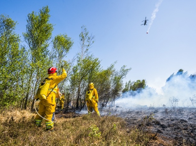 Brandweerlieden aan het werk bij natuurbrand