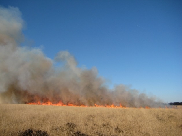 Natuurbrand in open terrein met veel rook.